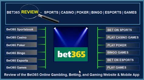 bet365 employees